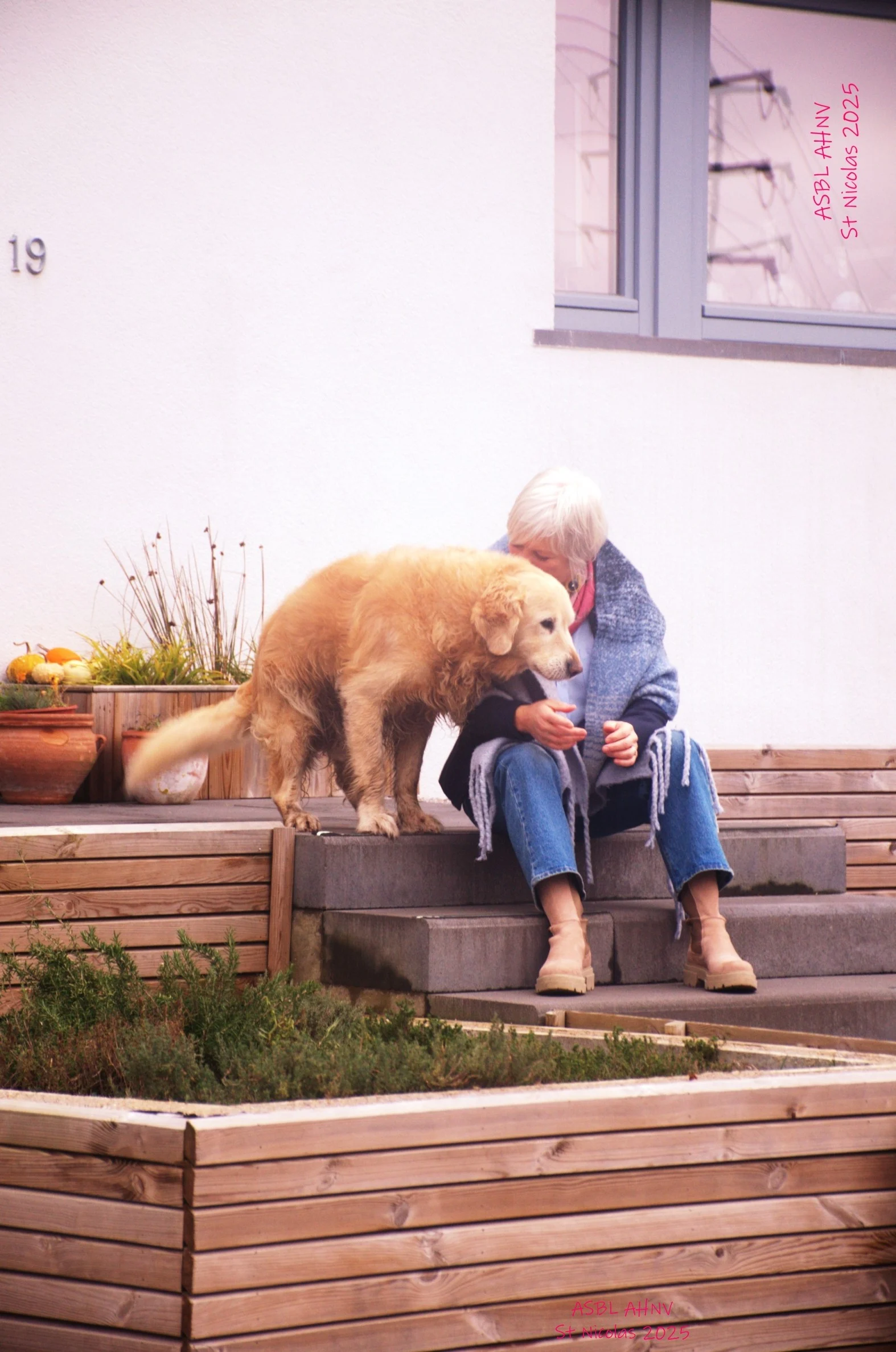 Batch batch dsc 1851