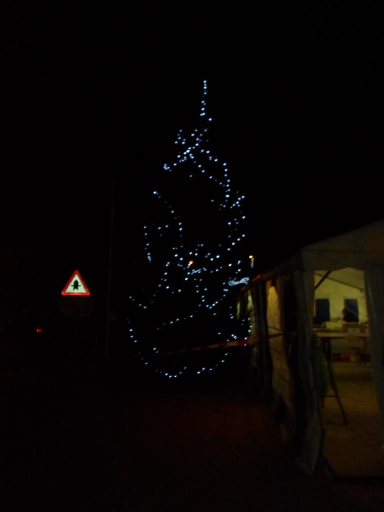 SAM_1421